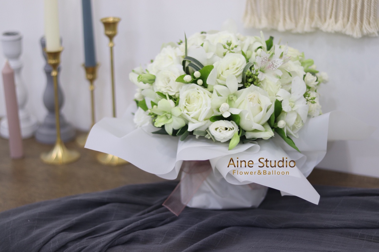 Aine Studio