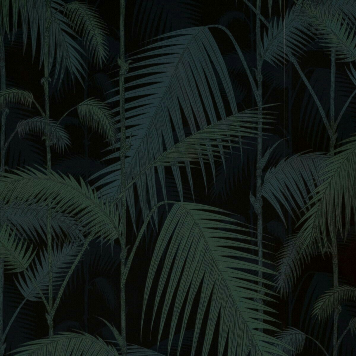 暗夜