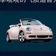 静