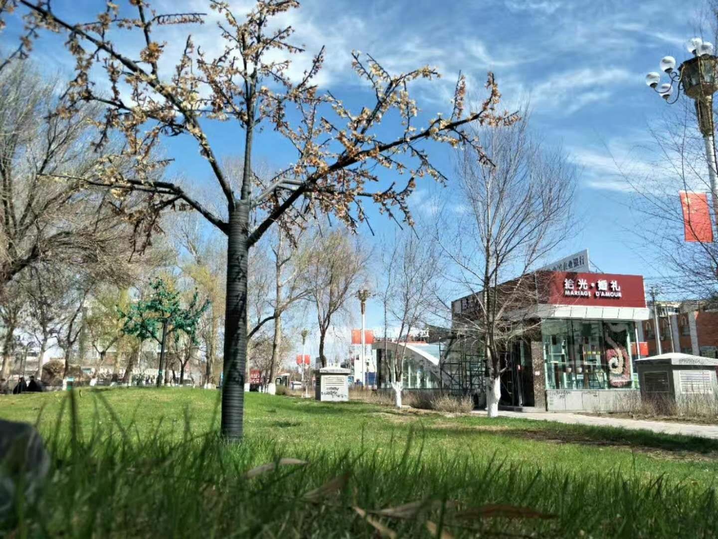 拾光·婚礼