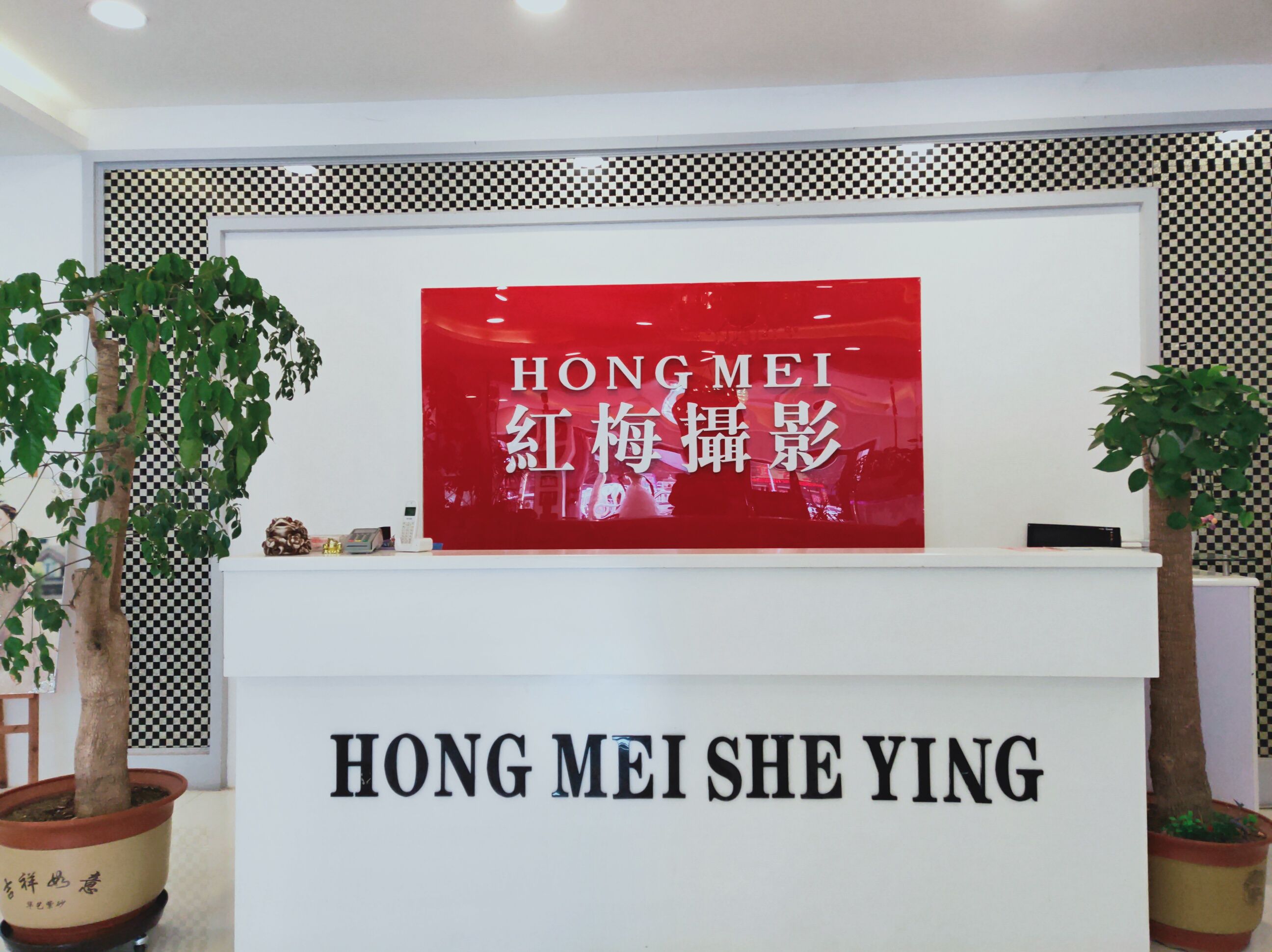 红梅摄影