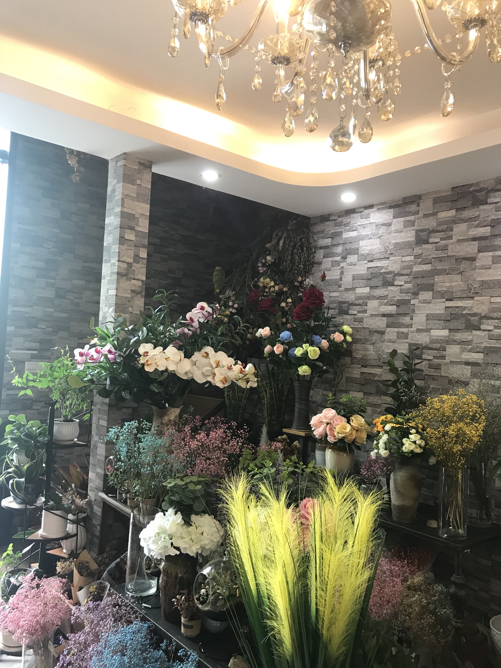 HD  floral Hall