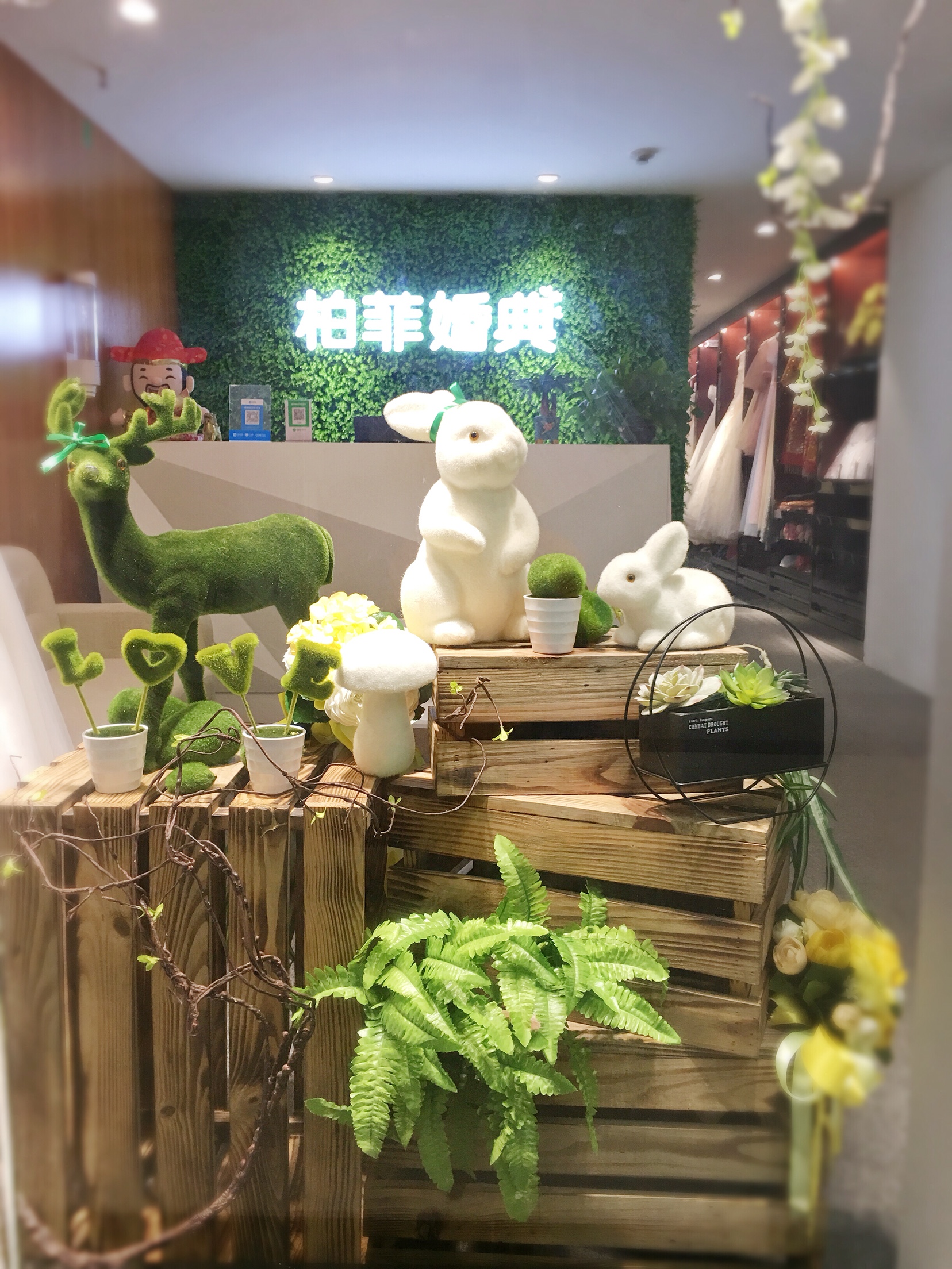 柏菲婚典