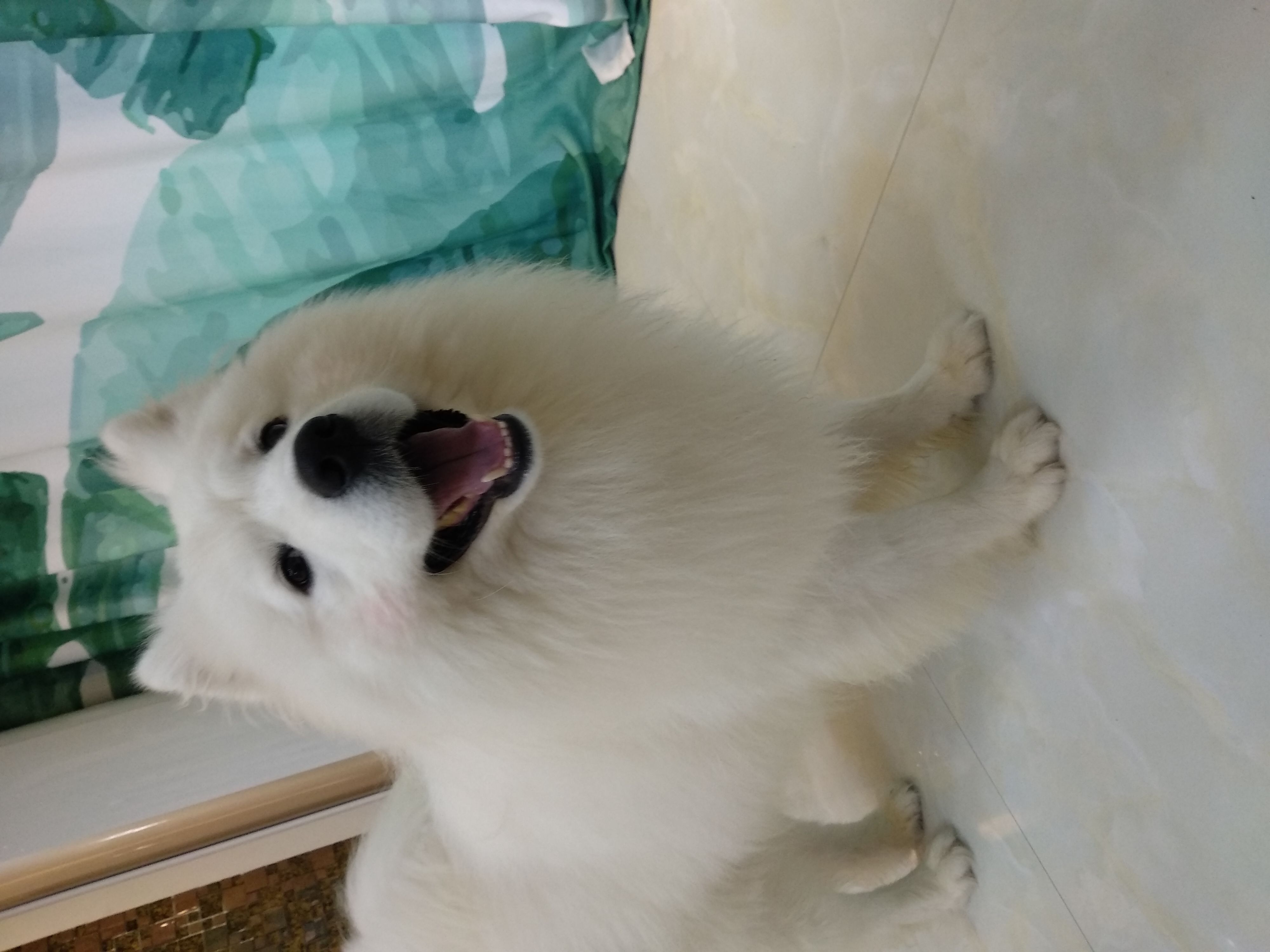 wedding7私人定制