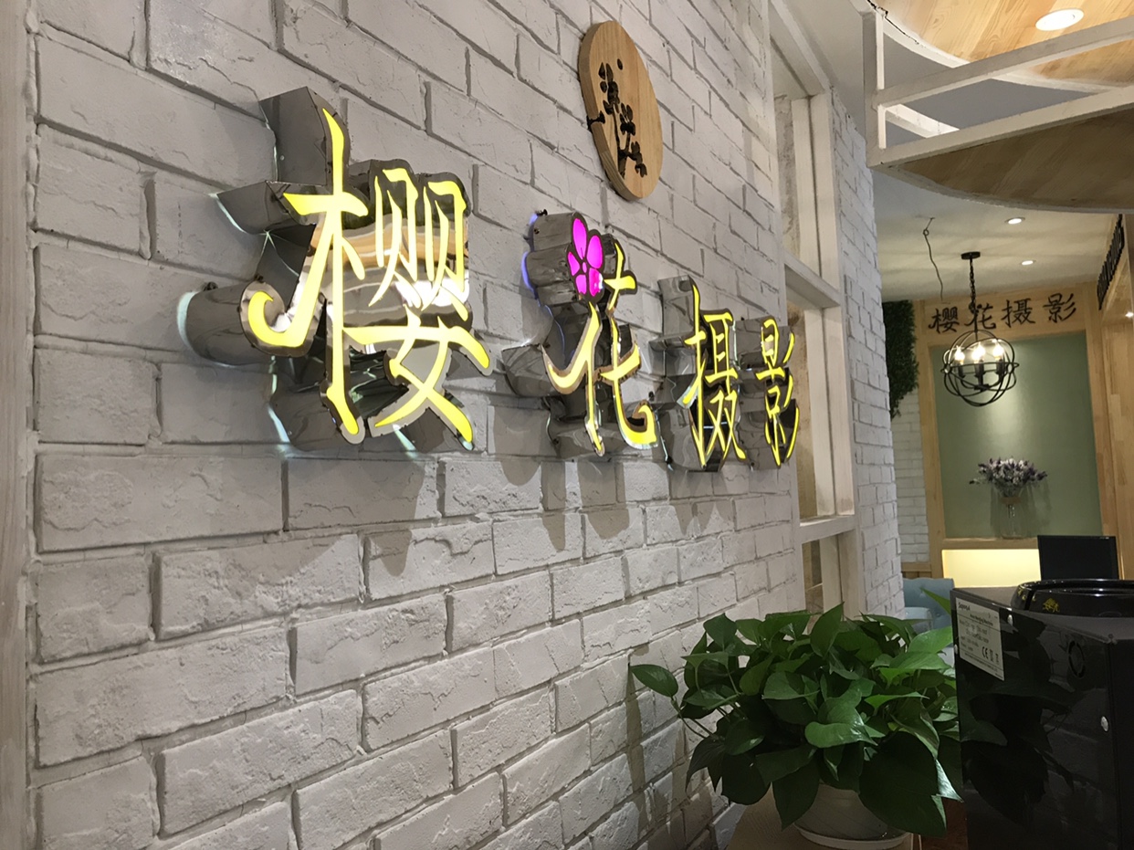 新宁樱花摄影
