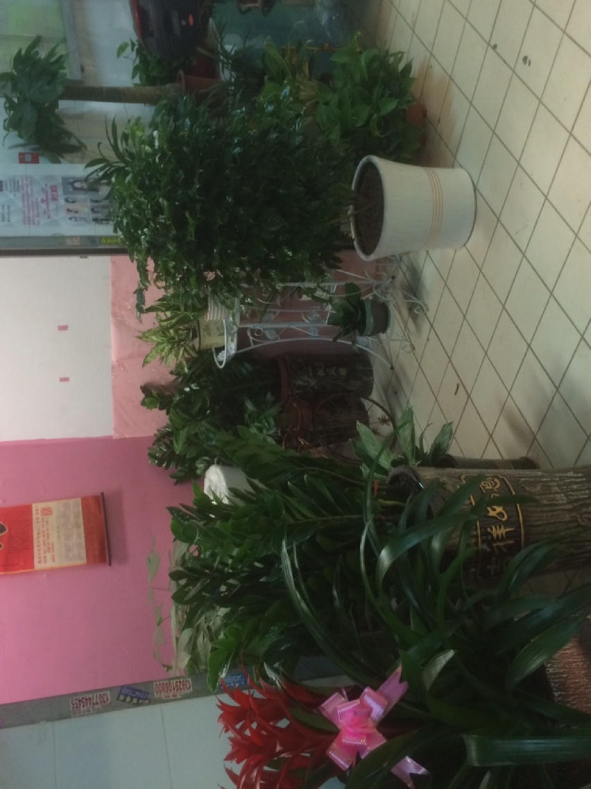 花遇有缘人花店