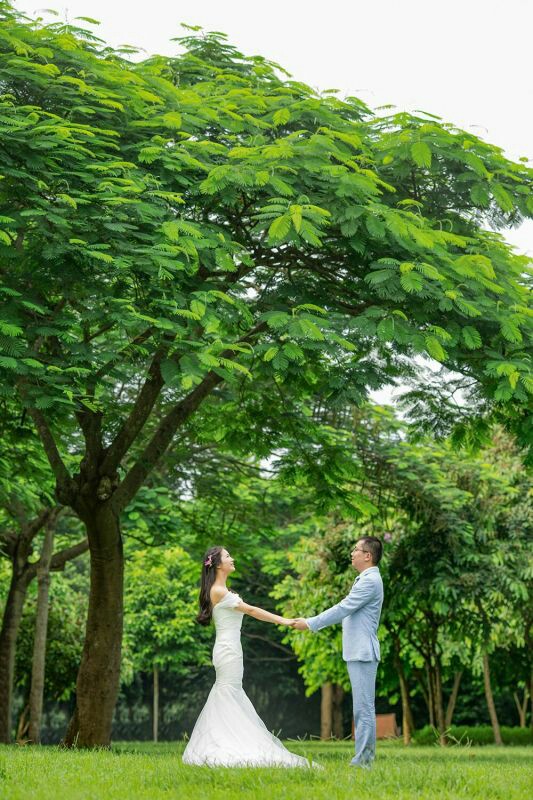 我们漂亮的婚纱照