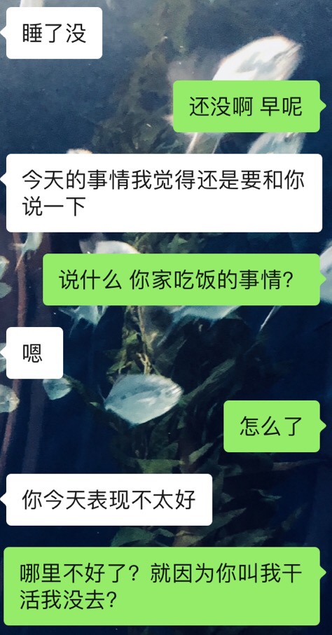 第一次去男友家，我故意打碎碗不干活，做錯(cuò)了？