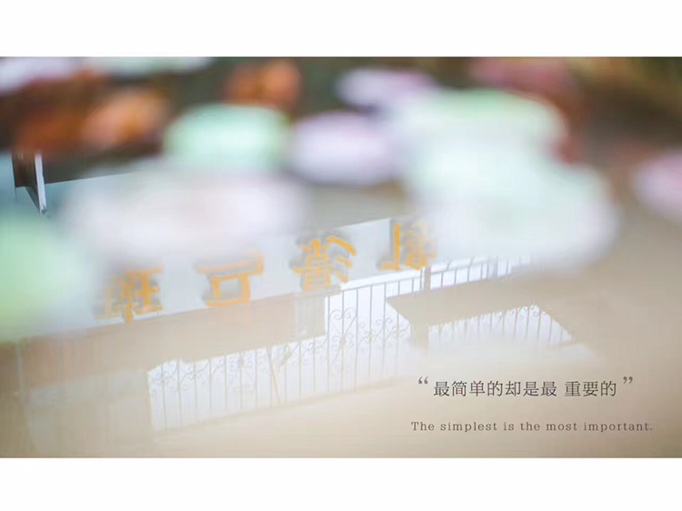 Zebrafilms 斑马影像