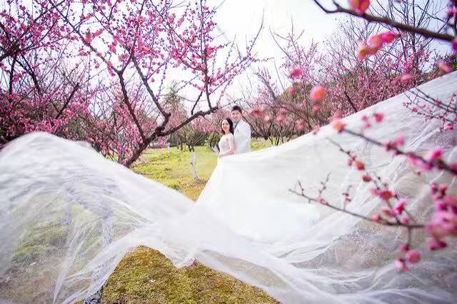 苏州太郎花子婚纱摄影
