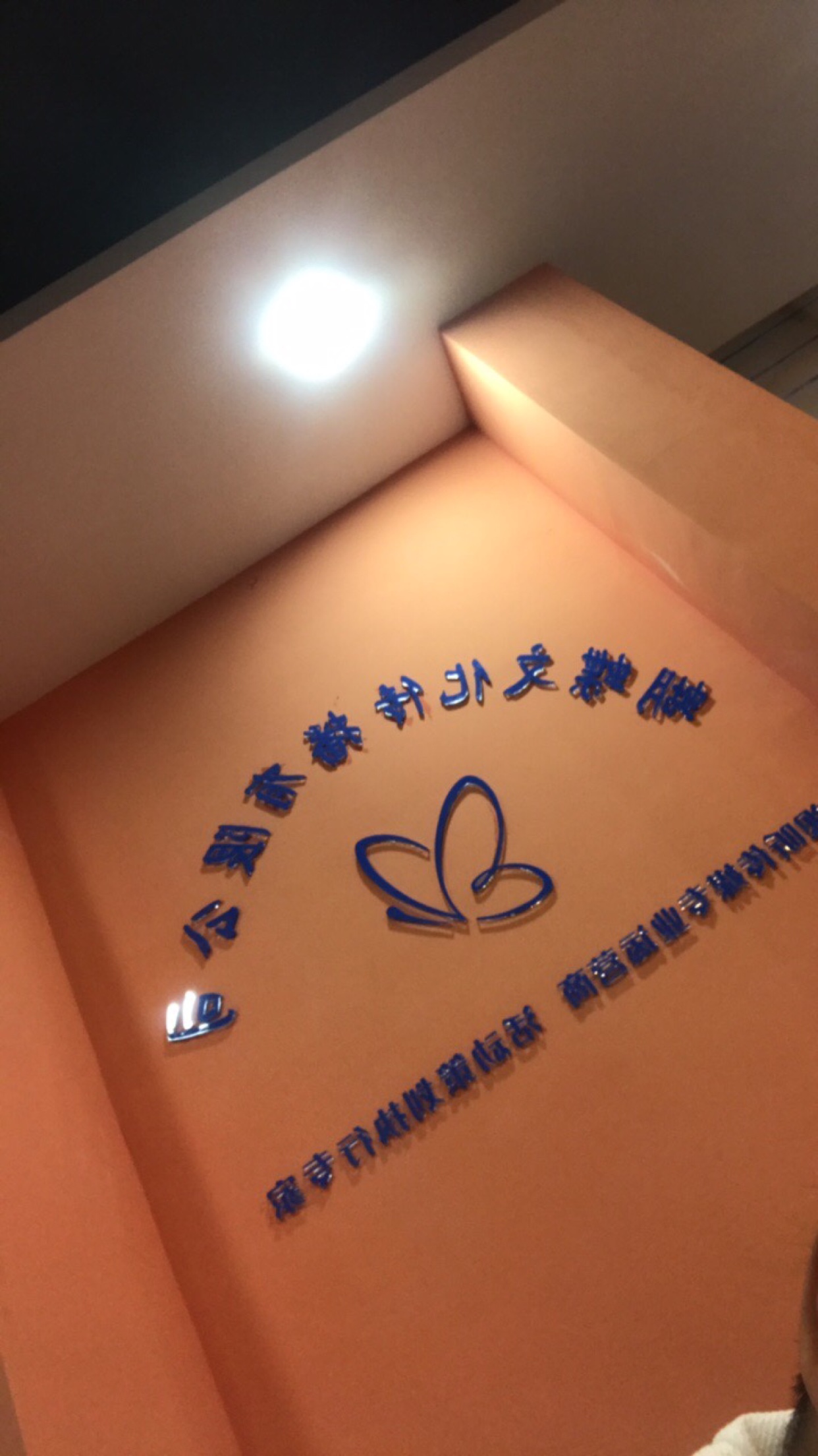 福州蝴蝶文化传播有限公司
