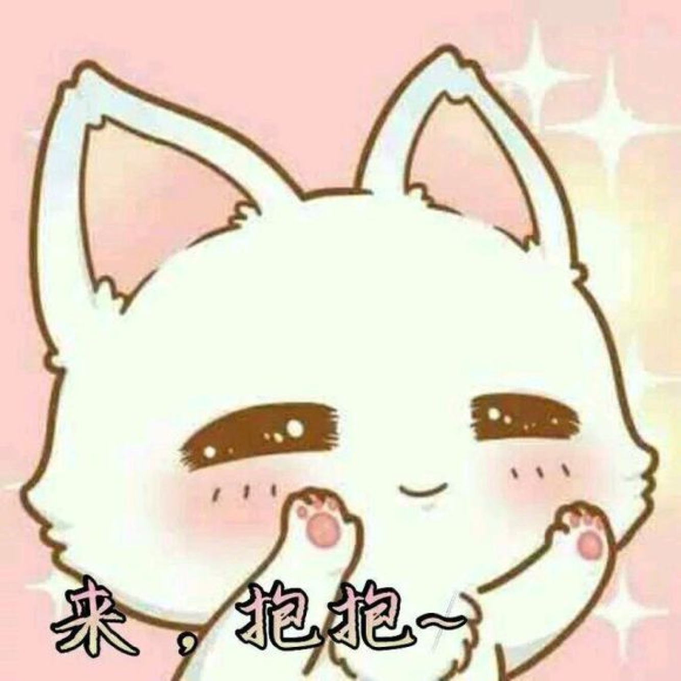 测试65