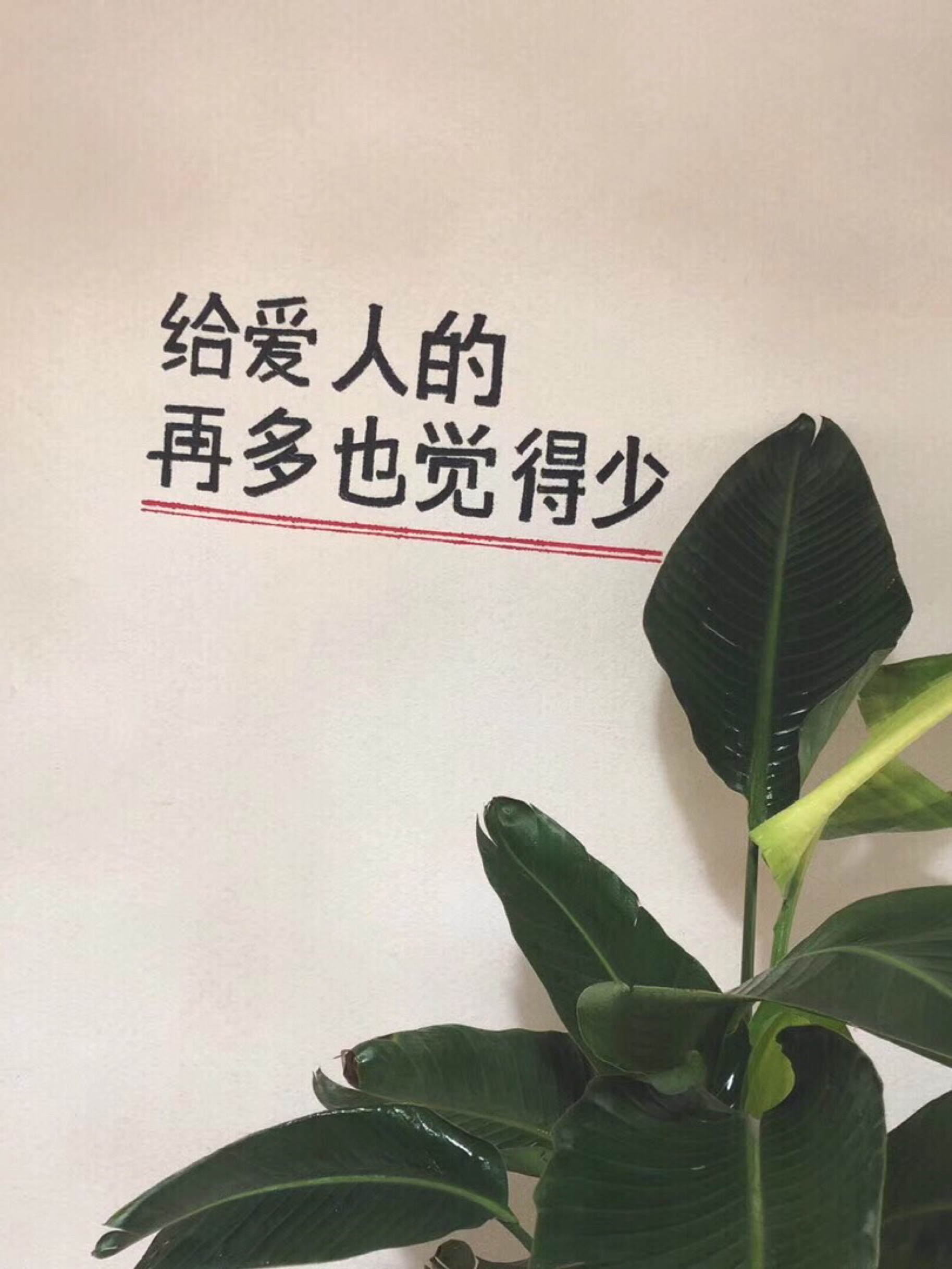 喜堂婚礼