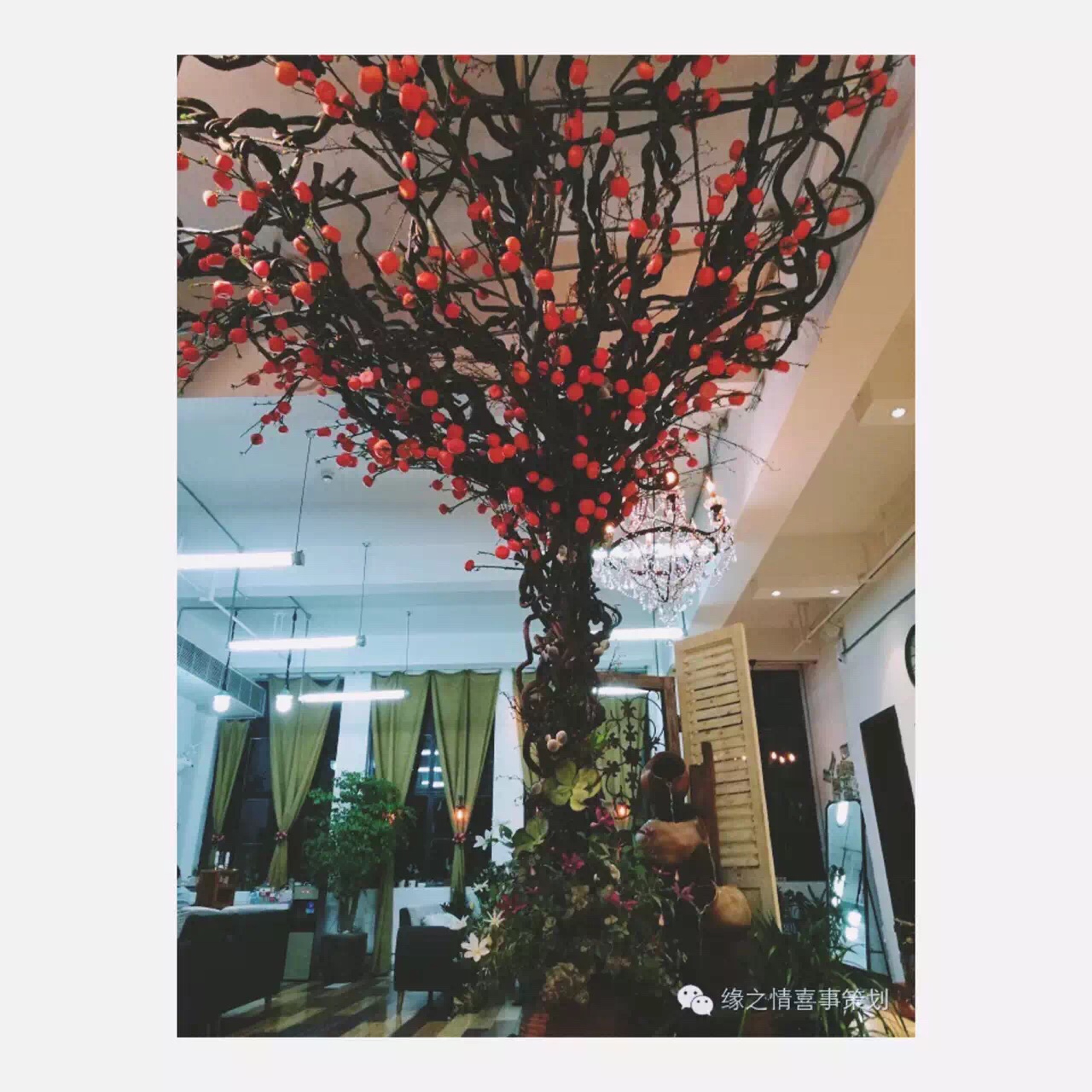 温州缘之情礼仪