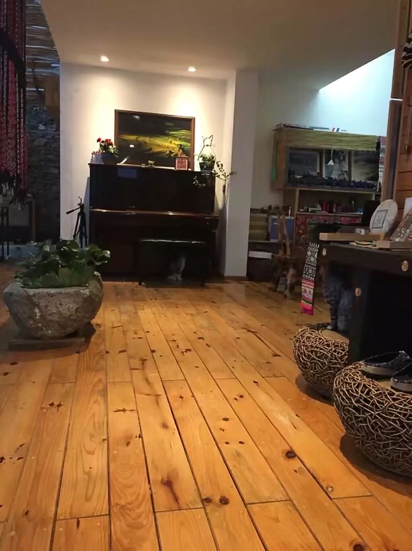 DOI工作室
