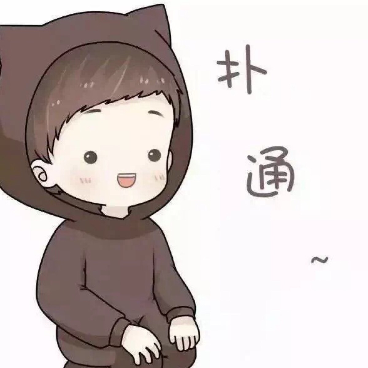 我的小小龙猫