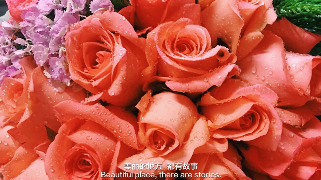 汪琪