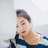 呆檬