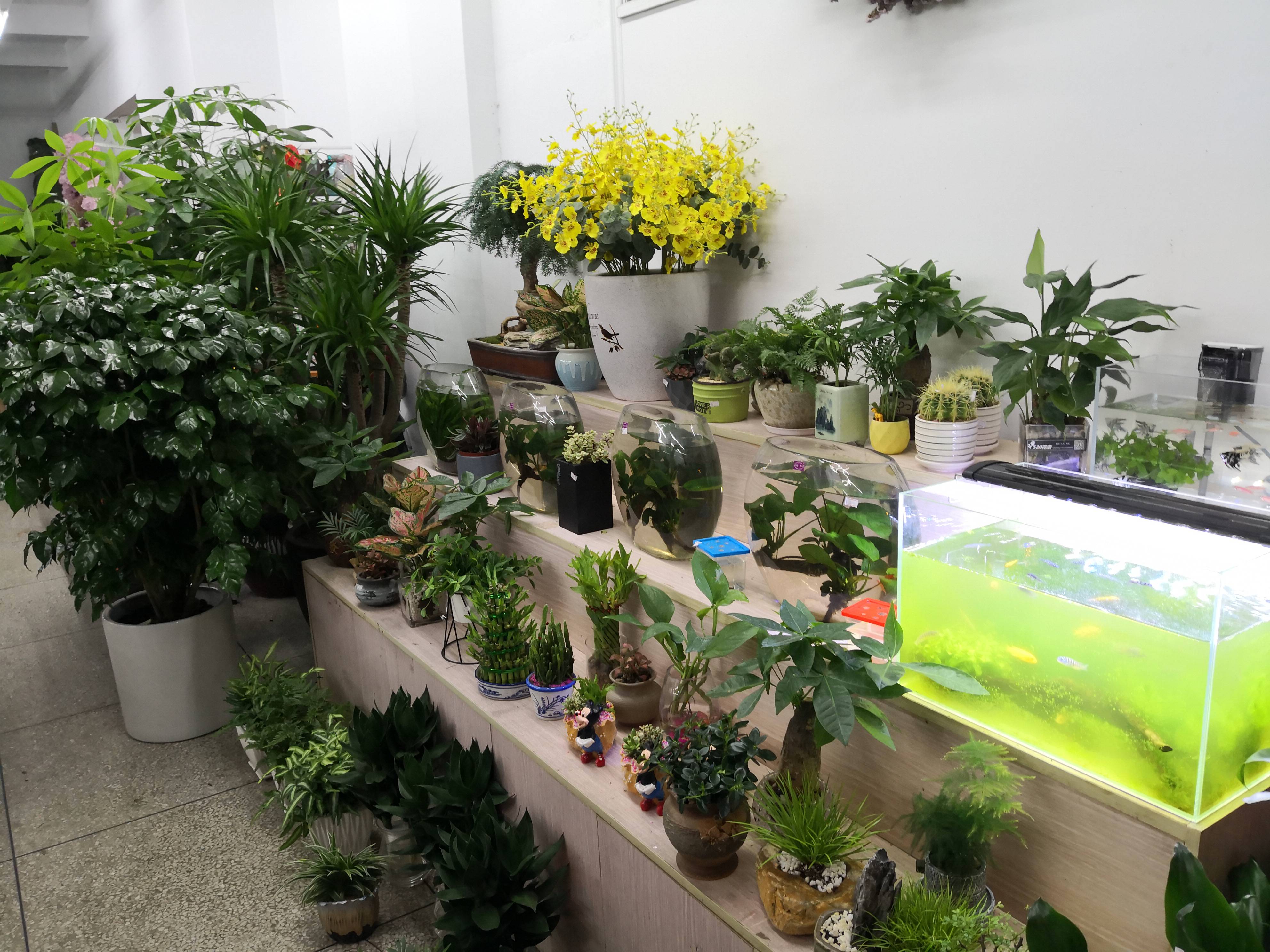 520婚庆礼仪策划花店