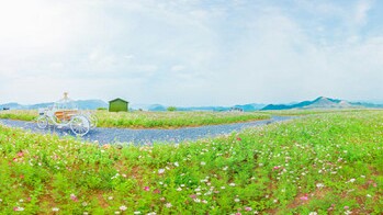 陳陳