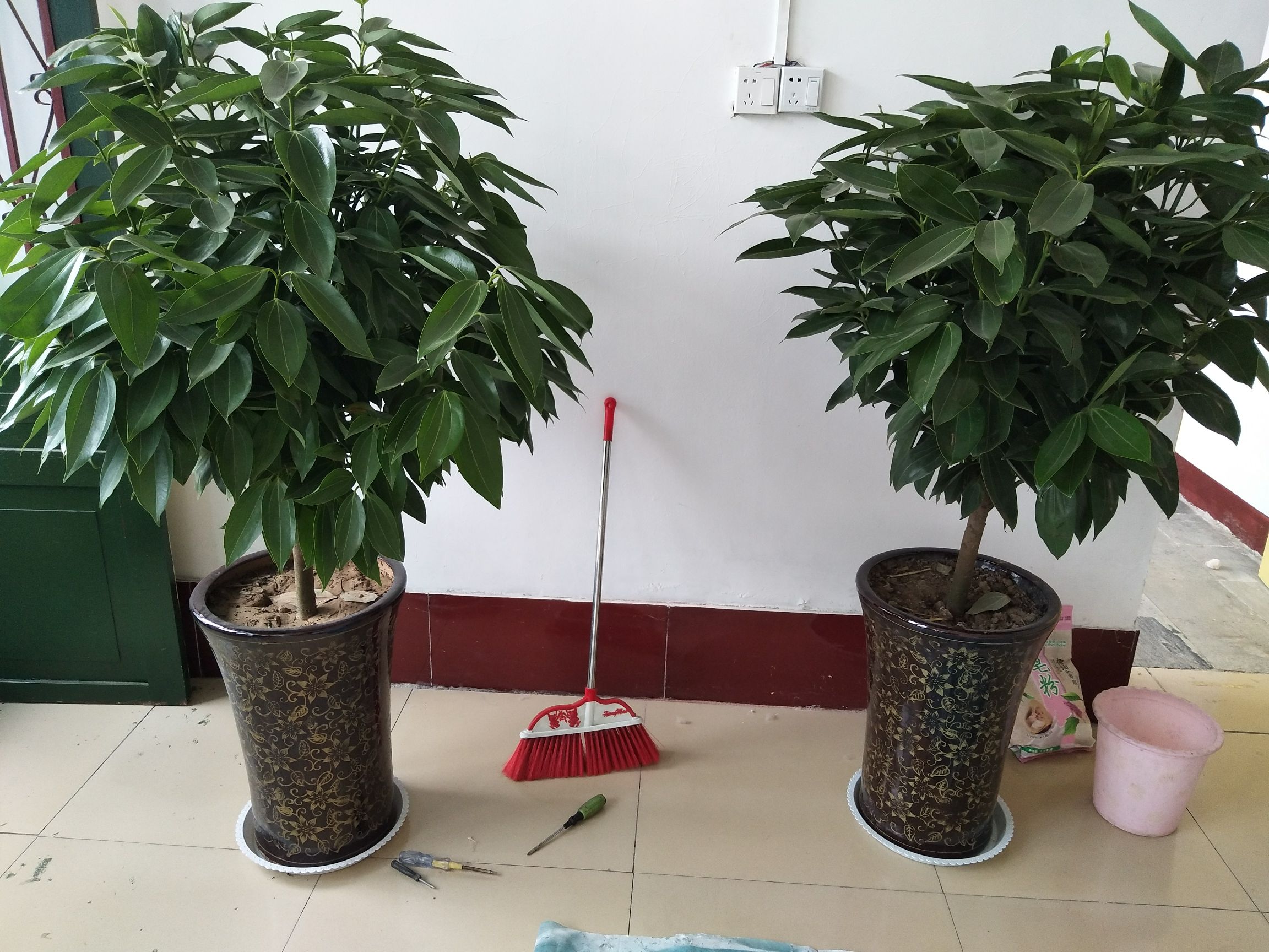 女方陪嫁物件汇总,查缺补漏。