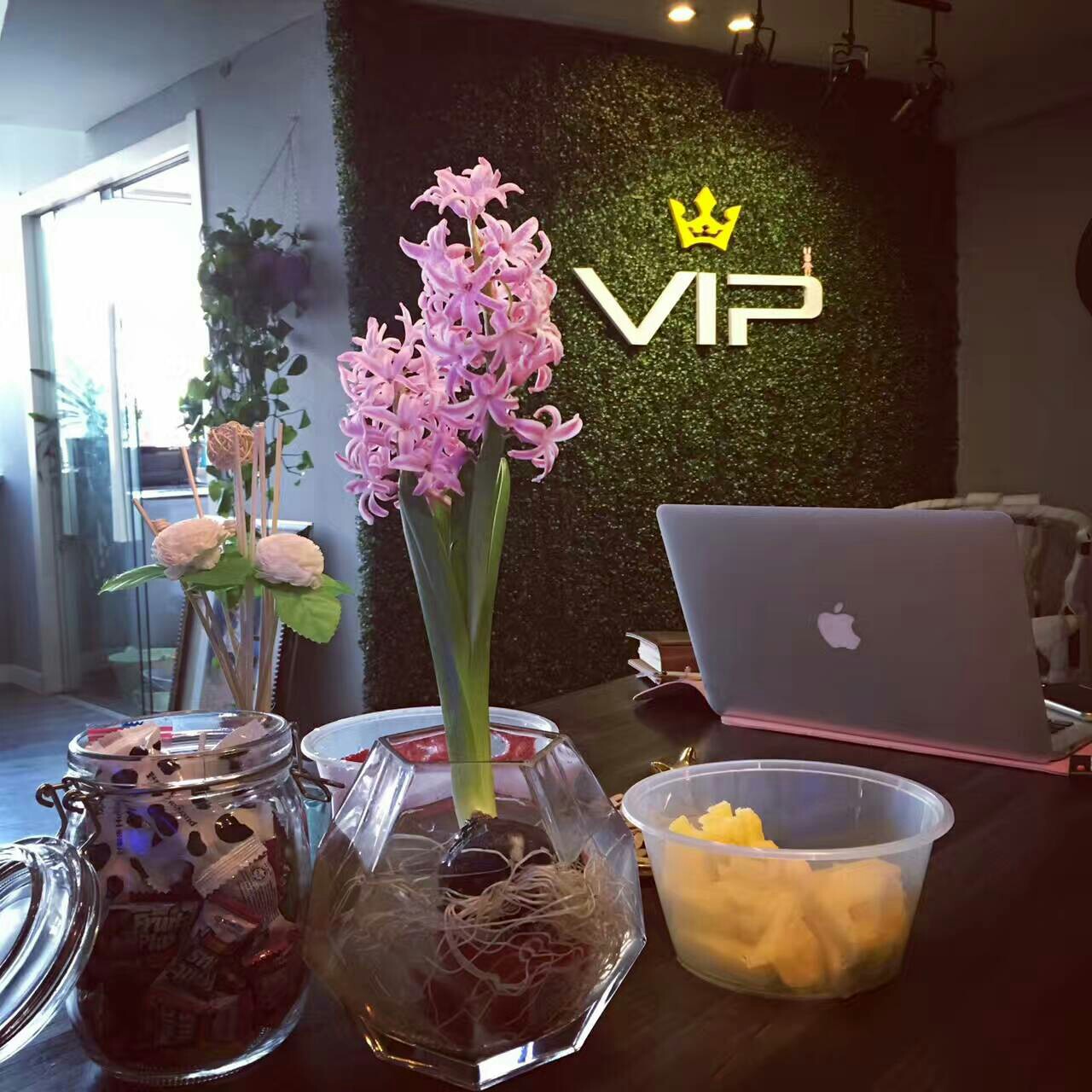 VIP Beauty House 培训