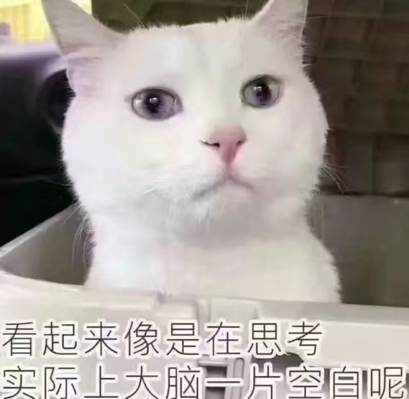 虚幻大姐姐