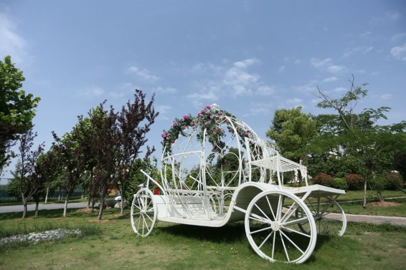 上花轿国际婚纱摄影