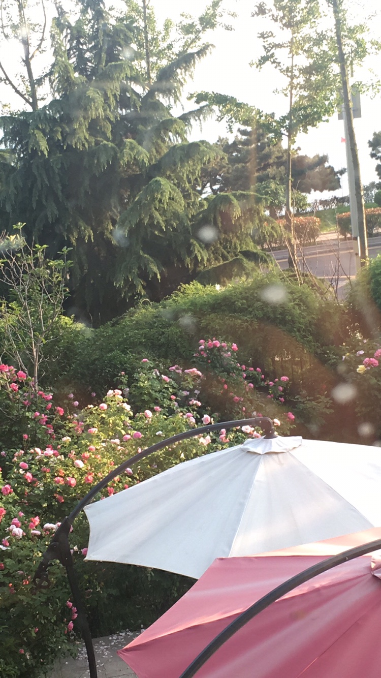 卓玛花艺设计有限公司