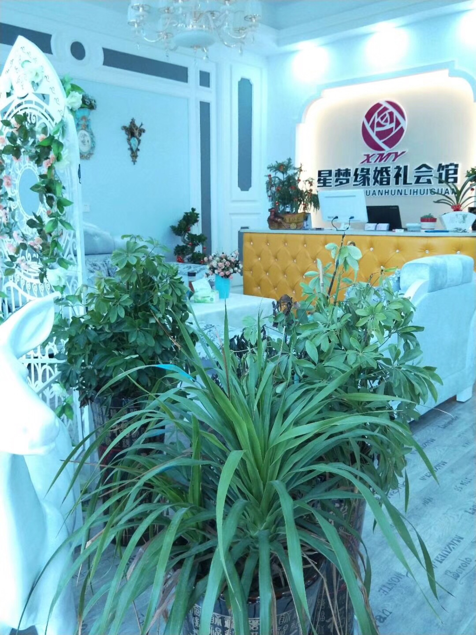 黄梅县 星梦缘婚礼会馆