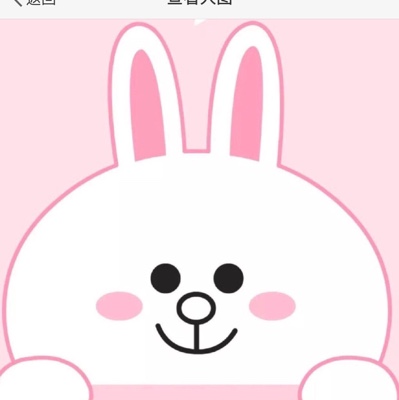 ss