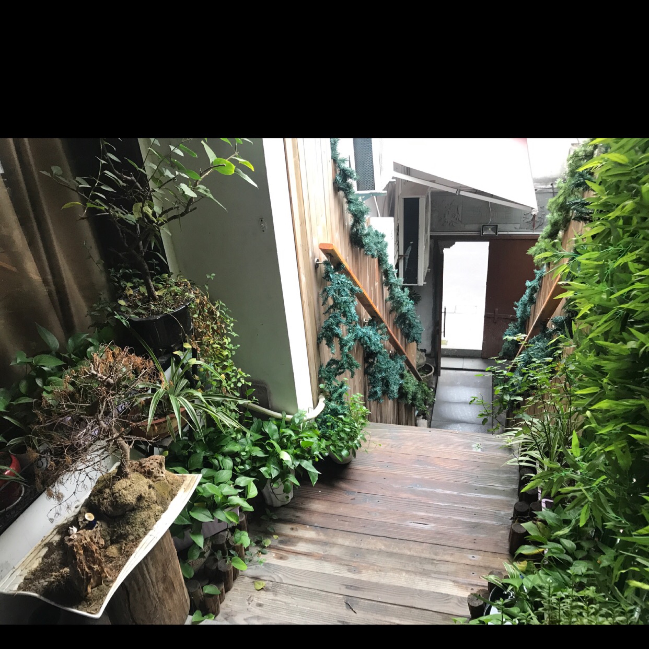 奕路婚礼
