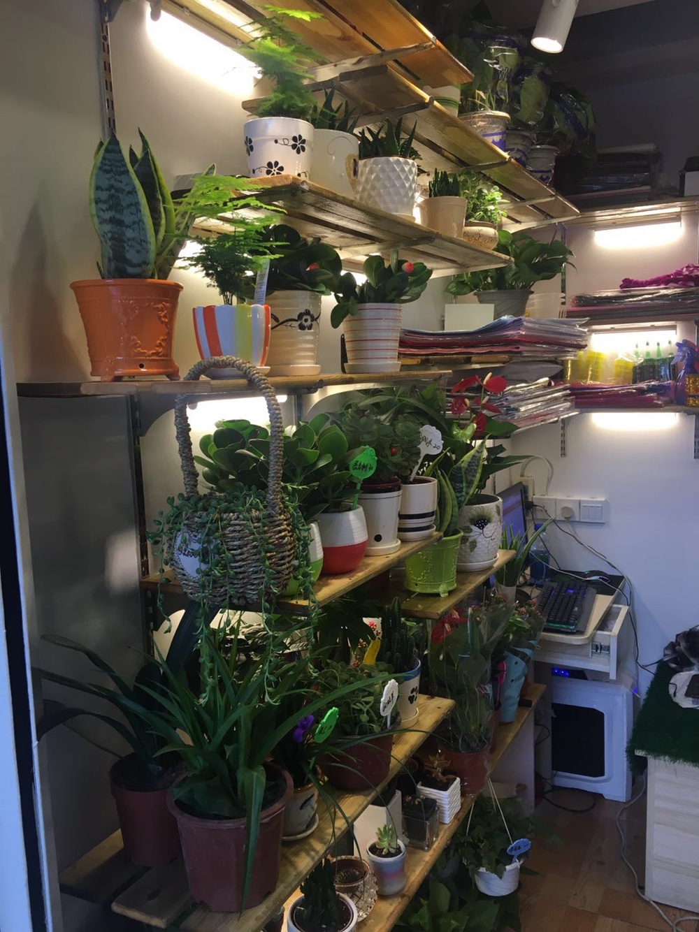 花季花艺生活馆