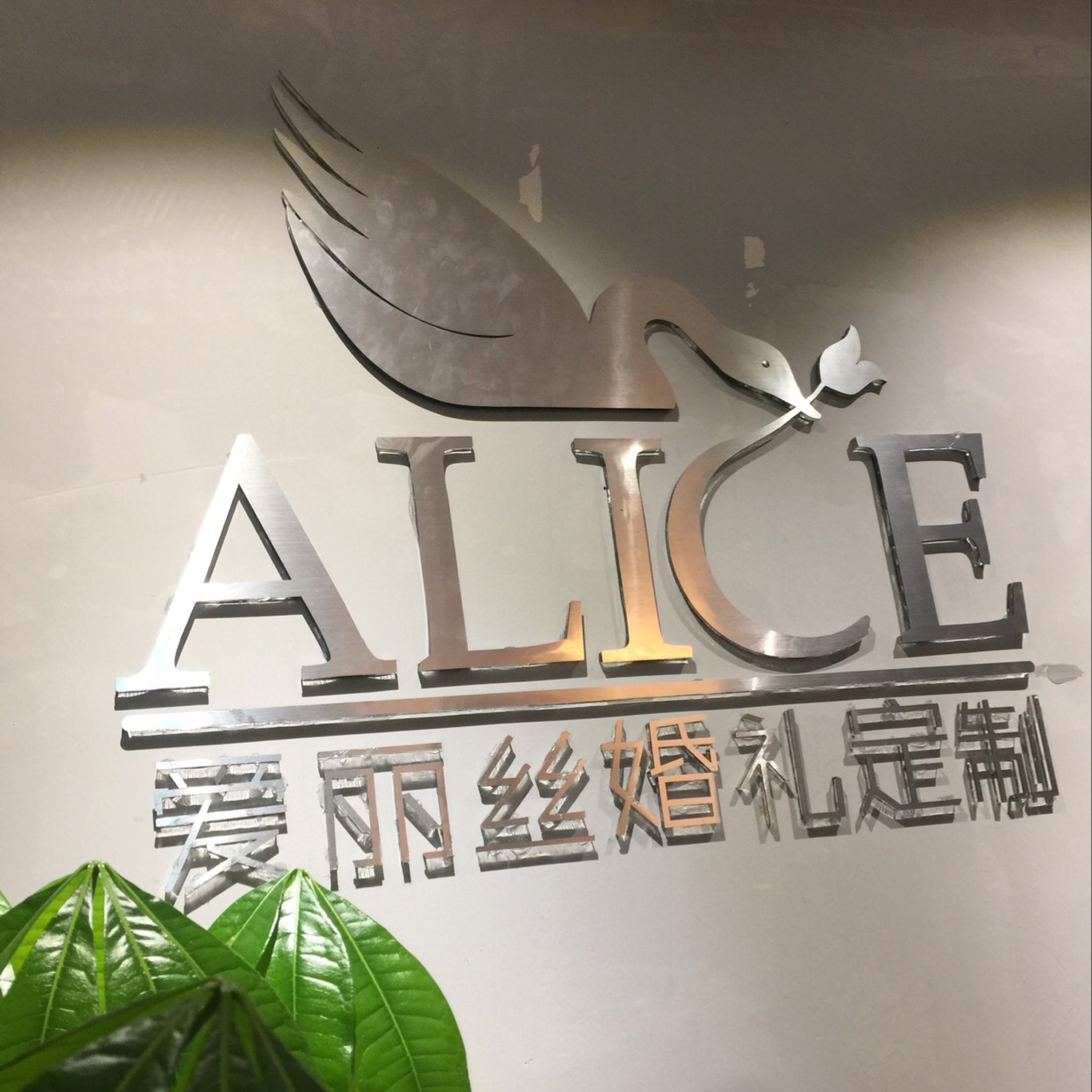 爱丽丝婚礼定制