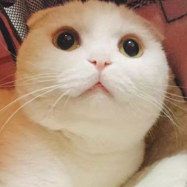 板栗