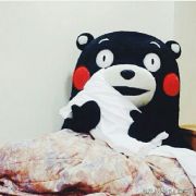 熊先生de熊小姐