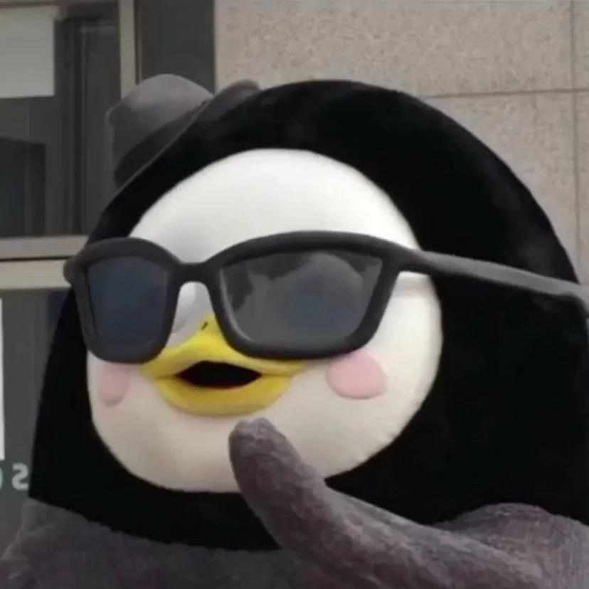 是晴儿晴啊