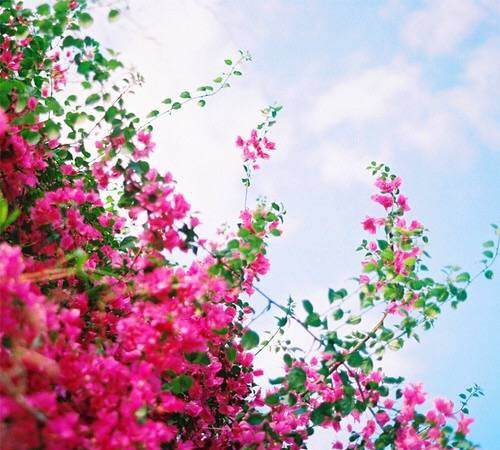 gd颖隽