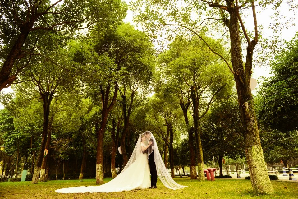 果果小姐与土豆先生的婚礼记