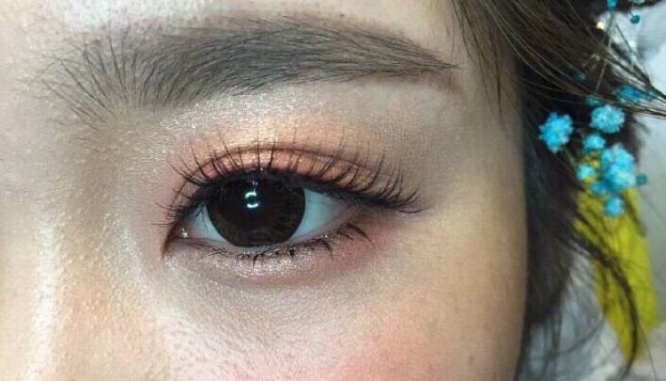 南康李子
