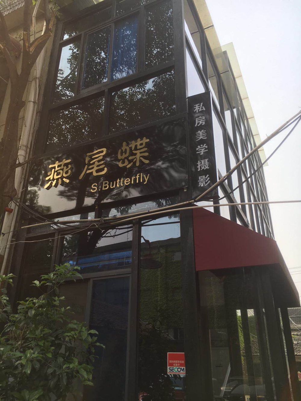 燕尾蝶私房美学摄影