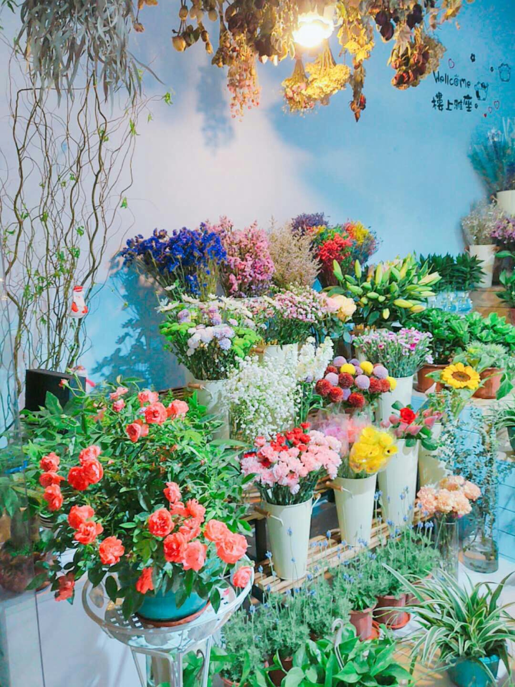 Mrs.Flowers花夫人