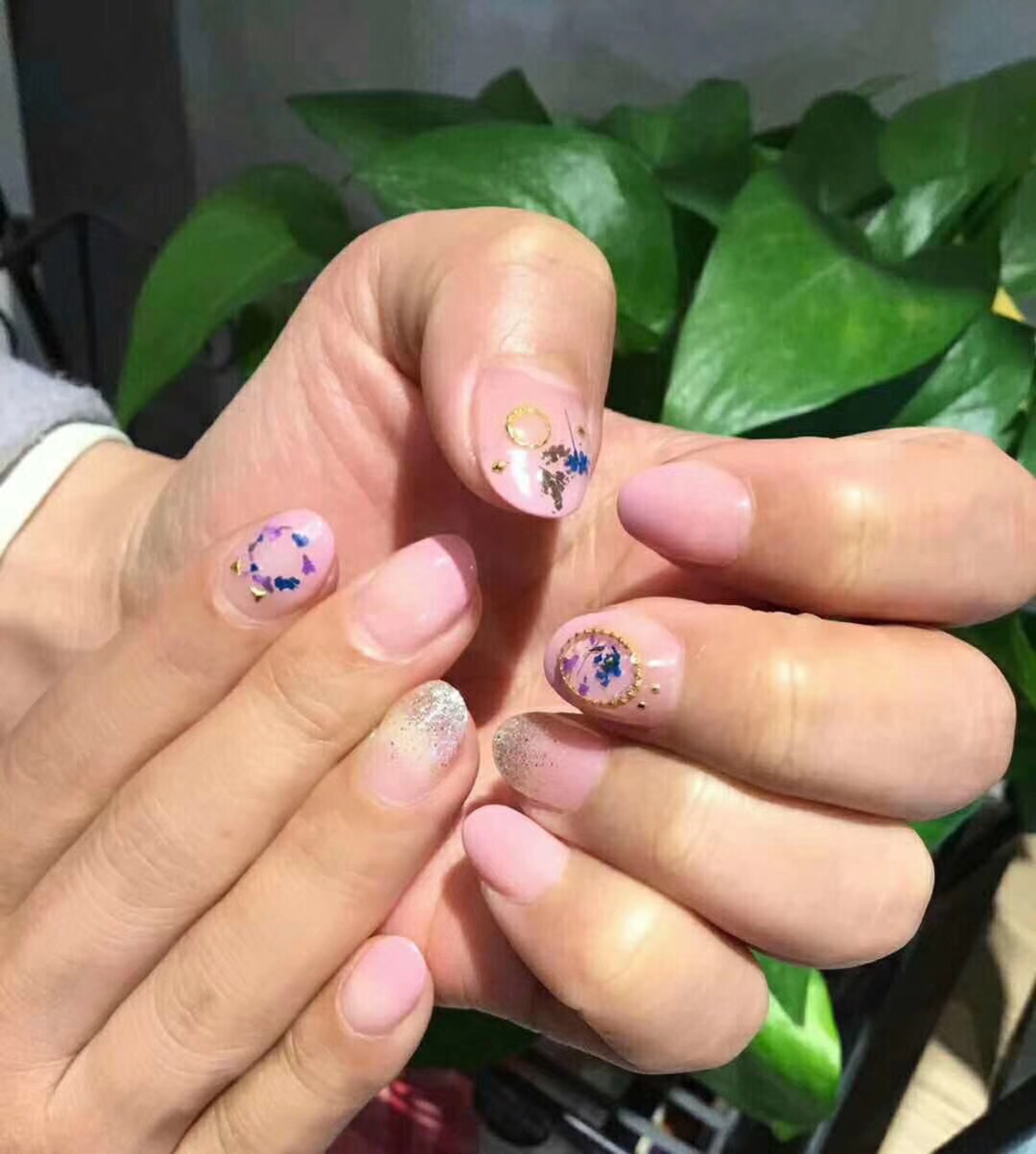 朵朵美丽小栈