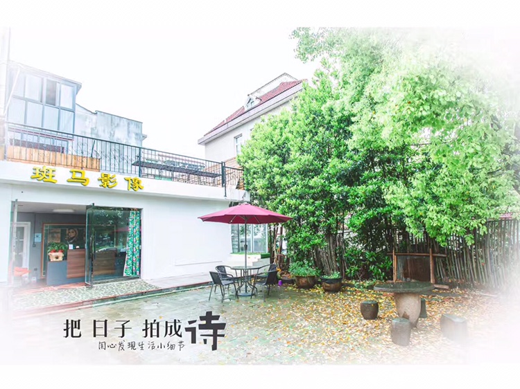 Zebrafilms 斑马影像