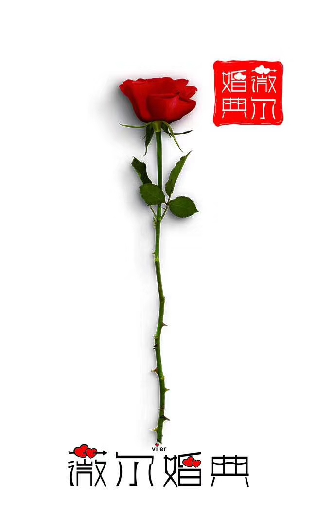 Vier 薇尔一站式婚礼