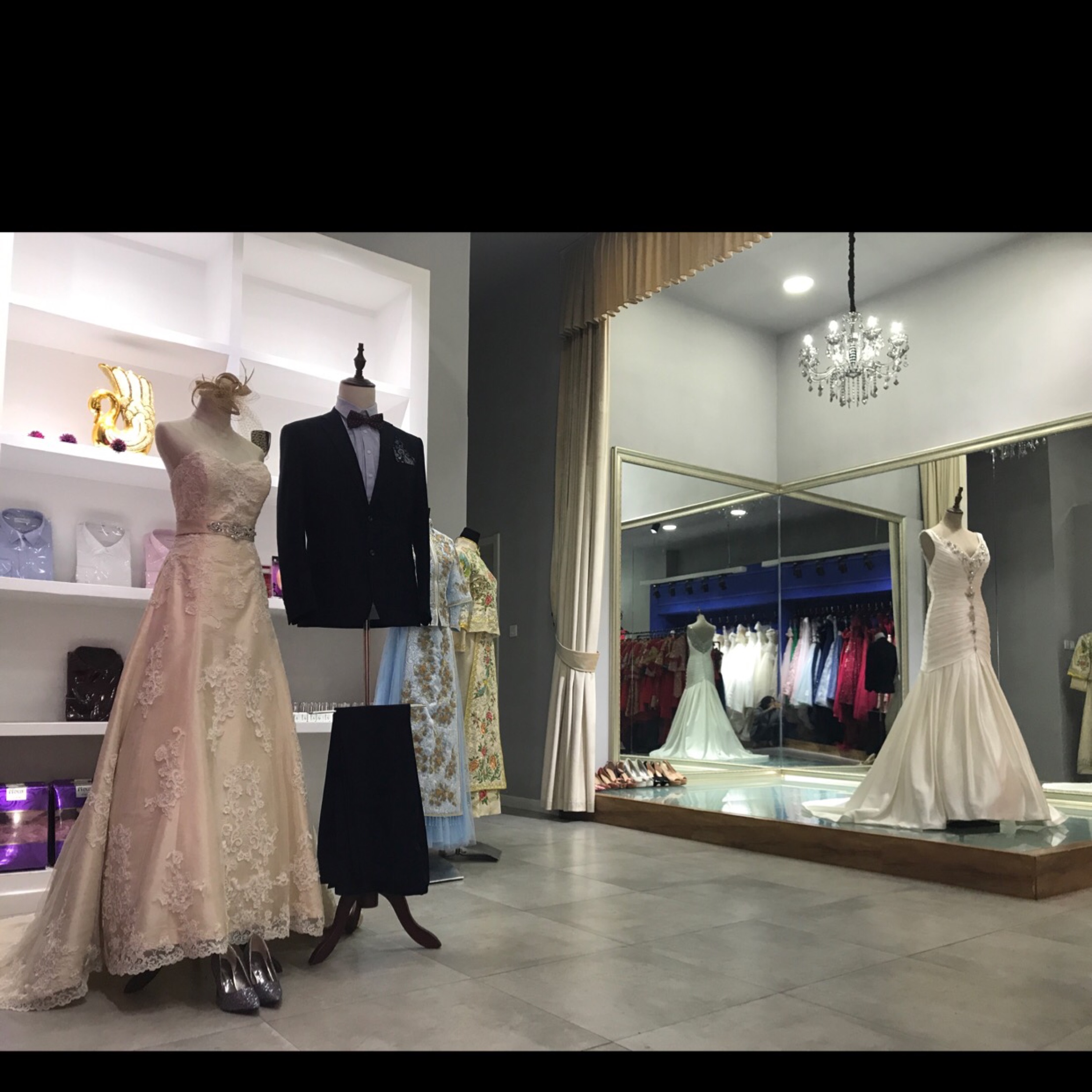 梧桐树婚纱造型