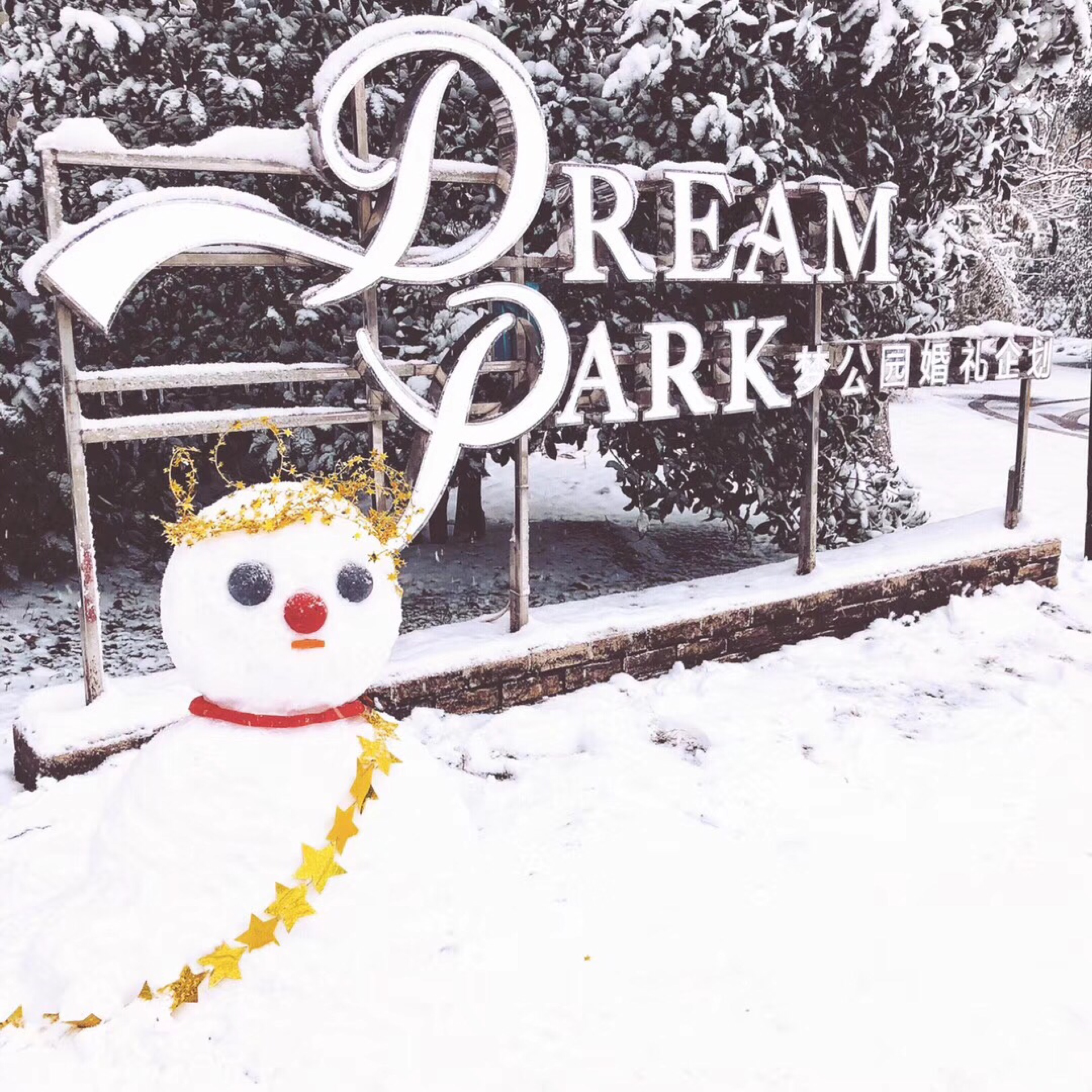 DreamPark梦公园婚礼企划