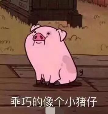 拍婚紗照
