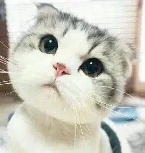 叫我大王