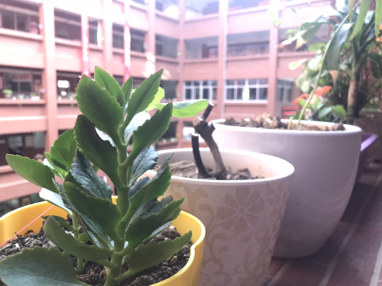 福州蝴蝶文化传播有限公司